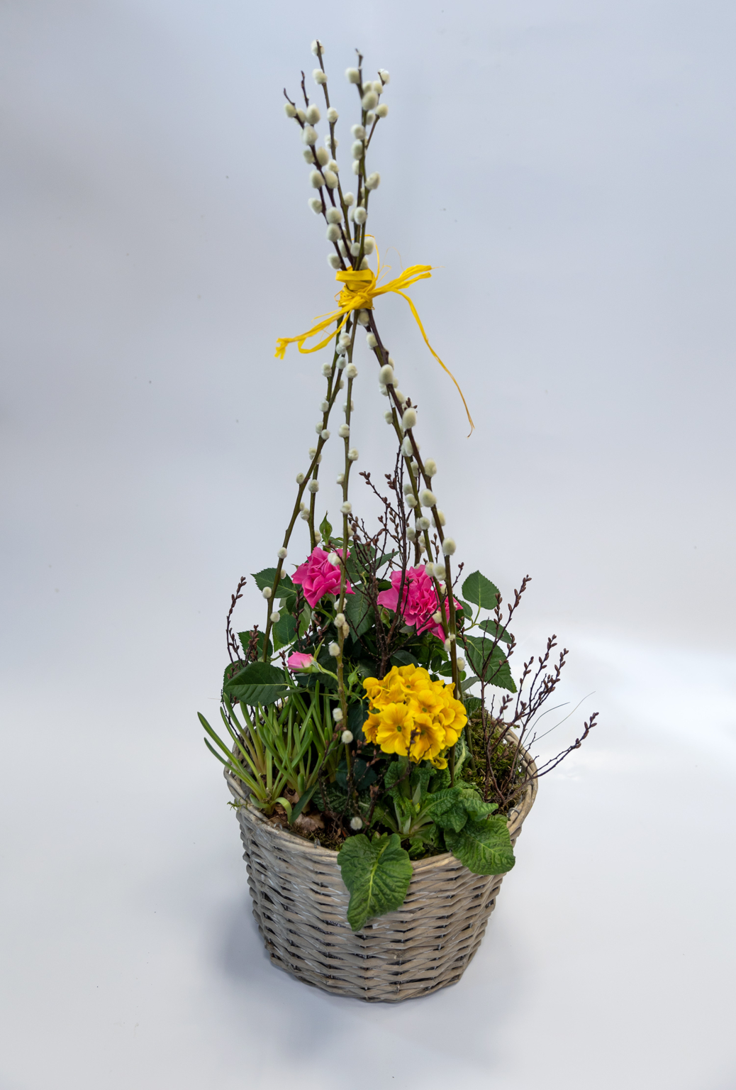 Großer Pflanzkorb mit Blühern der Saison von Floriade › Blumen und