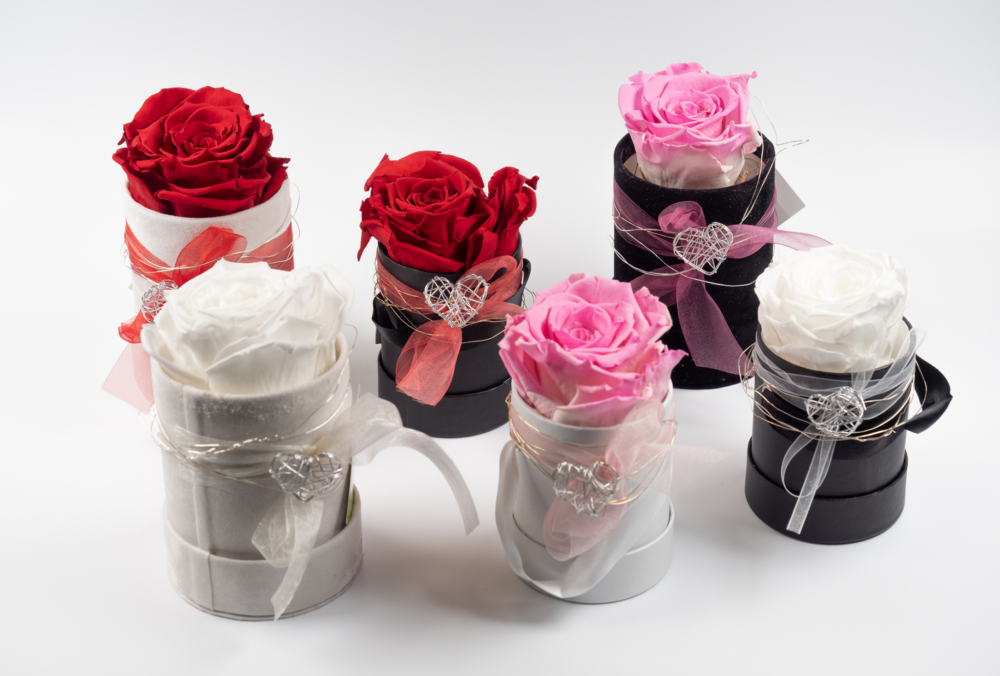 InfinityRosenbox (1 Rose) › Blumen und Pflanzen Floriade Floristik in